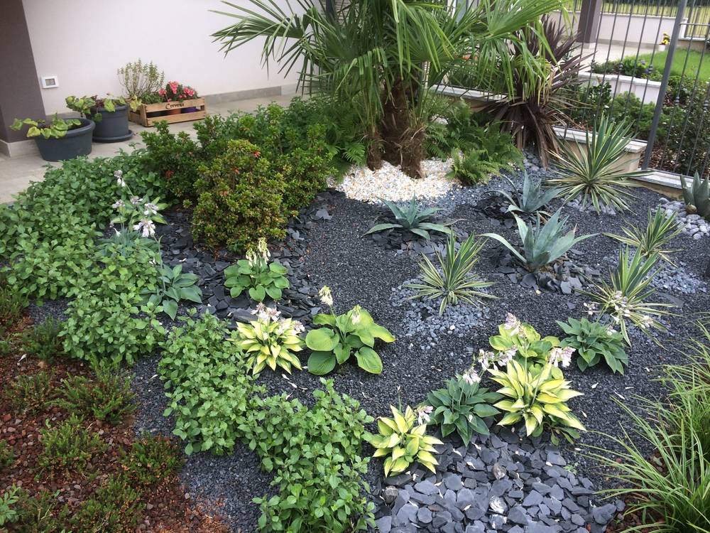 Aiuola con ortensie, hosta, agavi e palma su letto di scaglie di ardesia