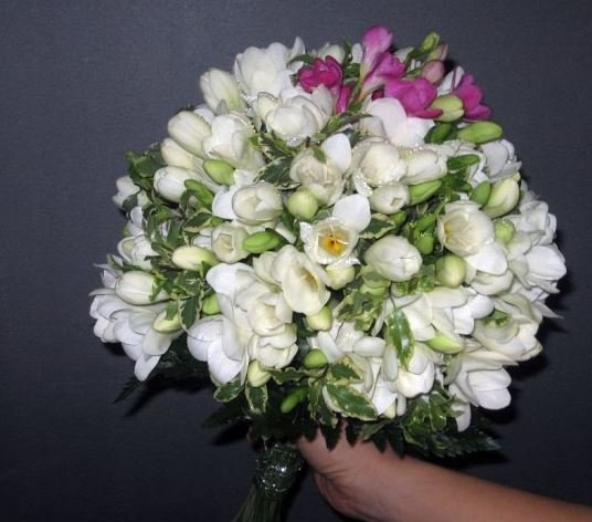 Bouquet da sposa di fresie bianche con qualche fiore fucsia