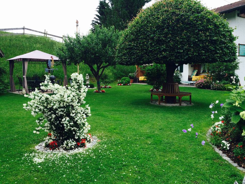 Giardino con prato, albero potato a ombrello e gazebo