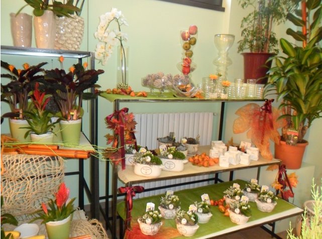 Scaffali del negozio con orchidee e piante fiorite