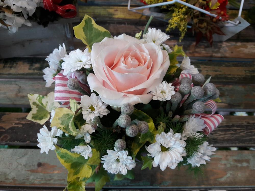Composizione con una rosa rosa, margherite bianche e foglie variegate
