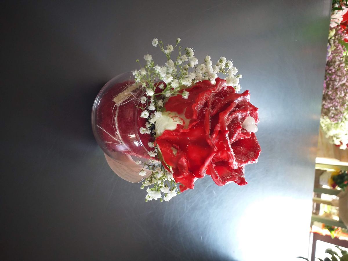 Rosa rossa in un vasetto di vetro