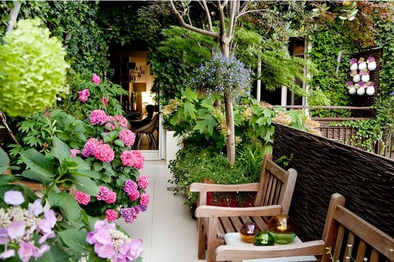 Terrazzo con ortensie, alberelli e panche in legno